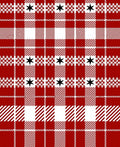 Red Plaid Star Pattern Rug