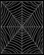 Striking Black White Cobweb Design Rug