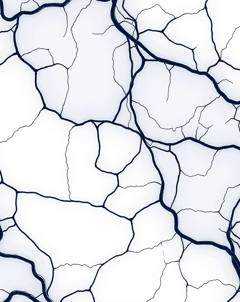 Ink Cracked Abstract Design Rug