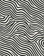 Black White Dynamic Wavy Pattern Rug