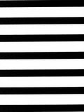 Bold Black White Stripe Pattern Rug