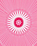Radiant Pink Starburst Pattern Rug