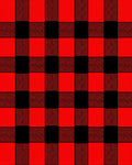 Bold Red Black Checkered Pattern Rug