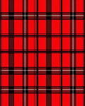 Bold Red Black White Plaid Pattern Rug