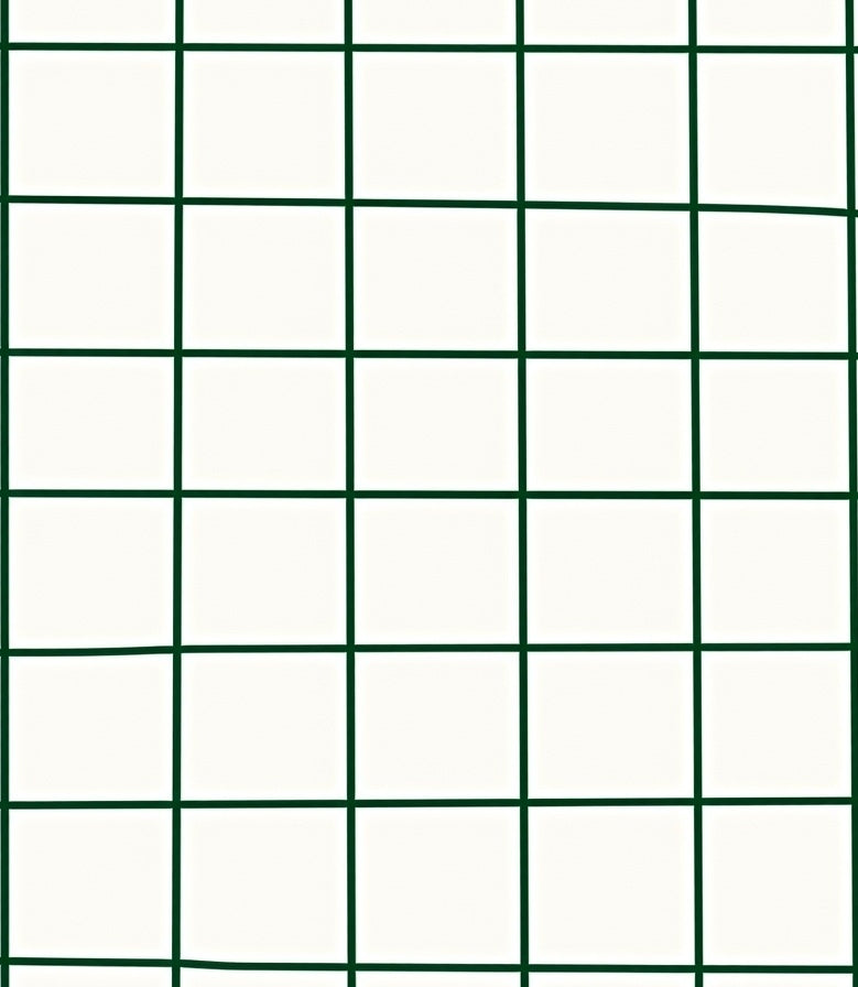 White And Green Grid Pattern Rug