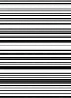 Modern Black White Stripe Pattern Rug