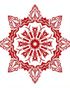 Floral Starburst Design With Intricate Medallion Rug