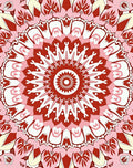 Red Pink Floral Mandala Style Rug