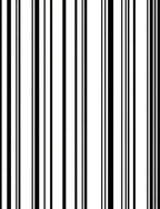 Bold Vertical Stripe Pattern Rug