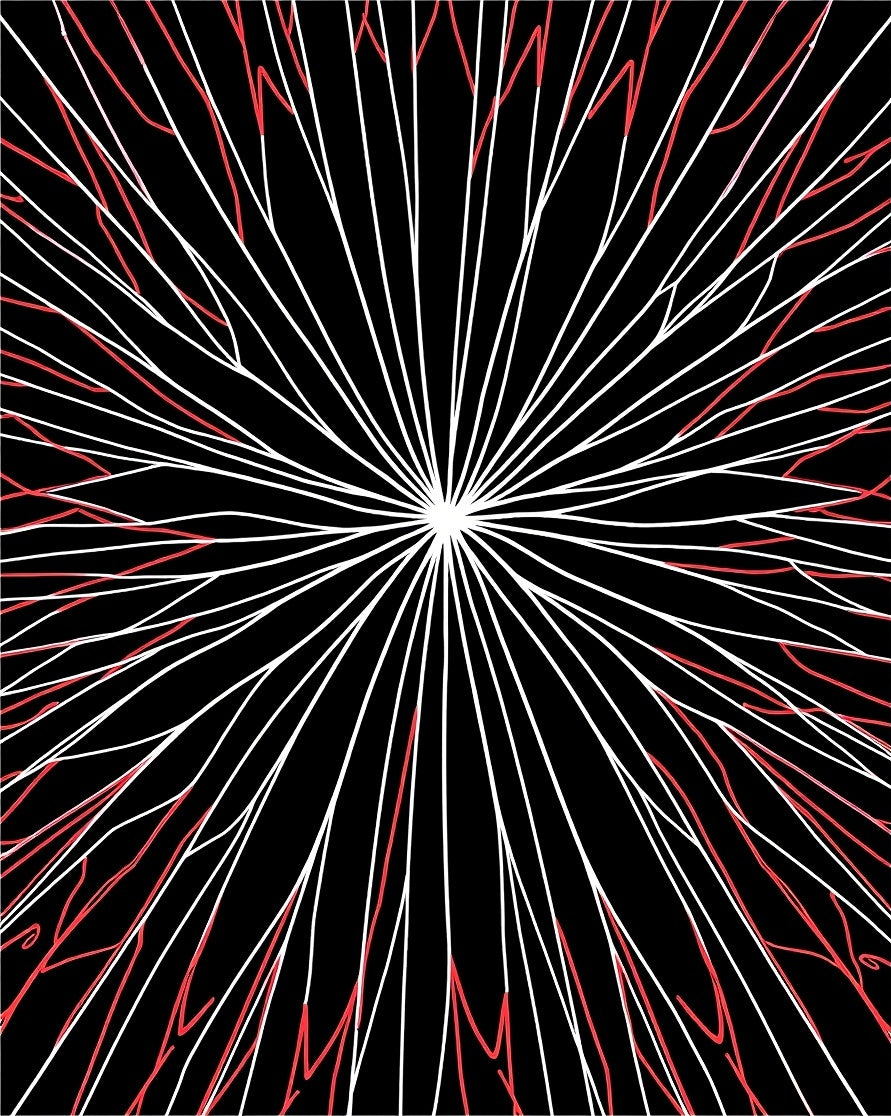 Black Red White Radial Design Rug