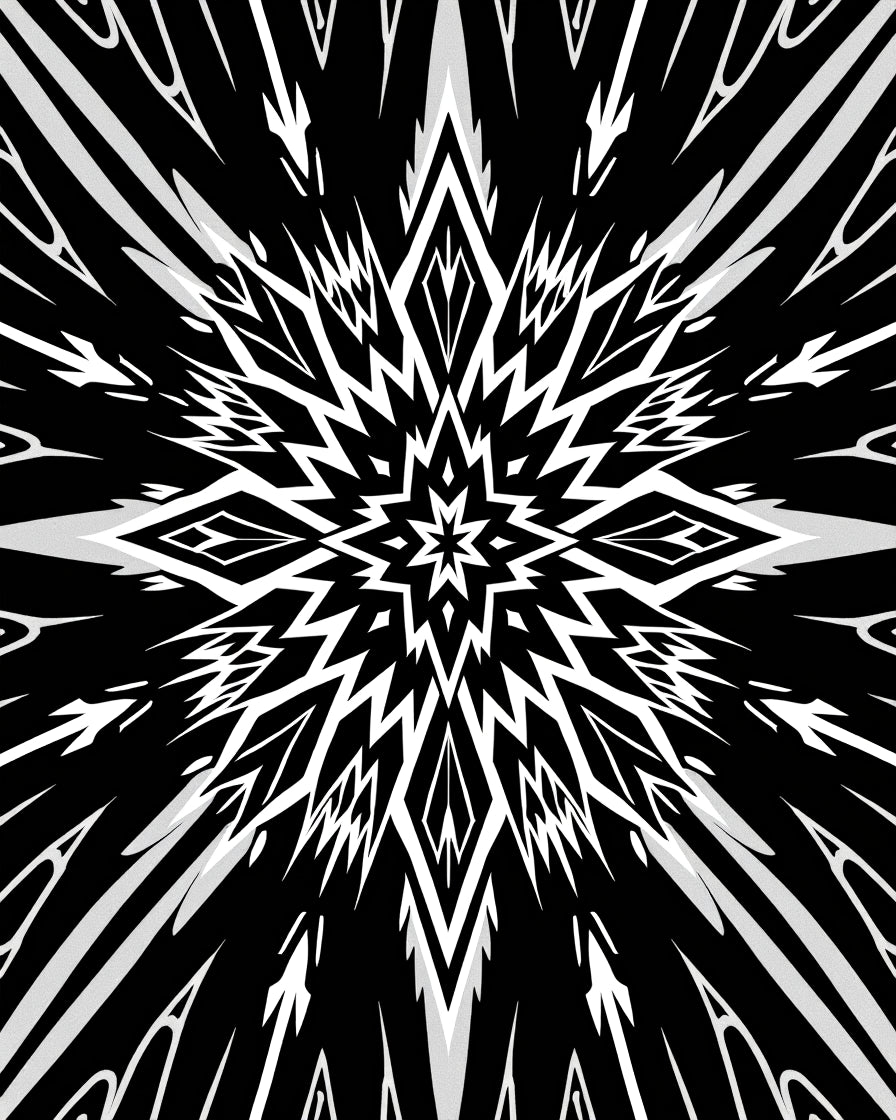 Bold Black White Starburst Pattern Rug