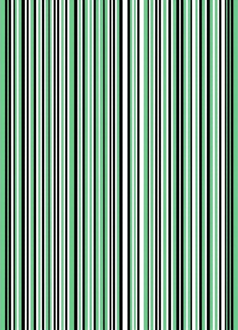 Mint Stripe Pattern Rug