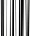 Bold Black White Stripe Pattern Rug