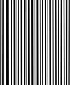 Bold Black White Stripe Pattern Rug