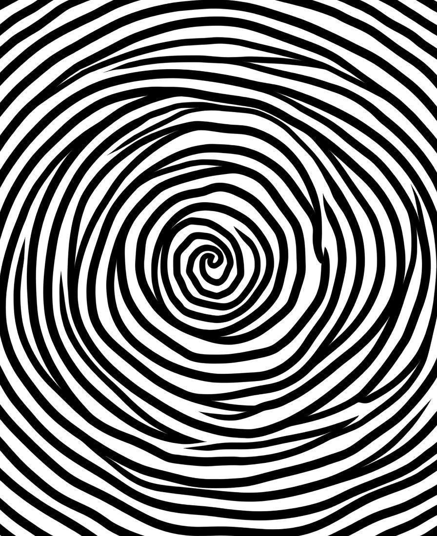 Black And White Concentric Swirl Rug