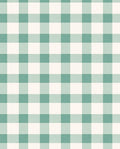 Classic Green White Gingham Pattern Rug