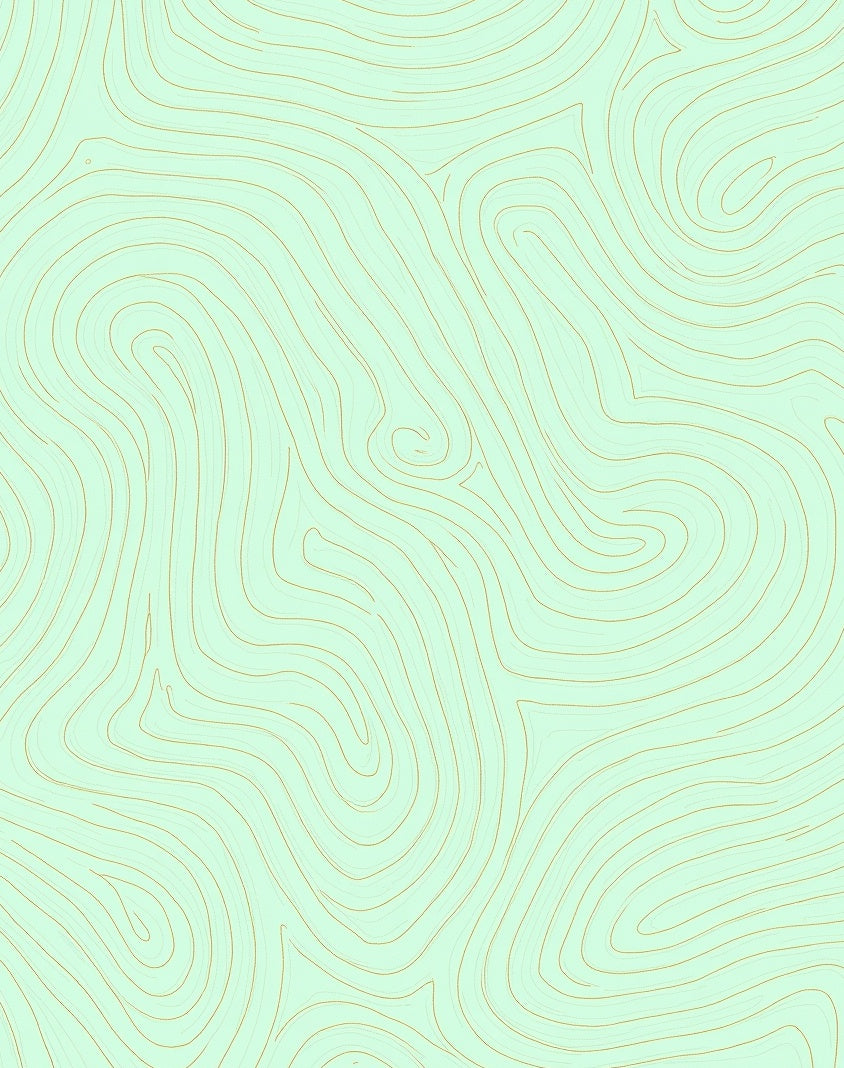 Mint Gold Contour Lines Rug