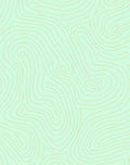 Mint Gold Contour Lines Rug