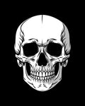 Monochromatic Skull Graphic Design Rug