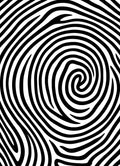 Monochromatic Swirl Pattern Design Rug