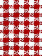 Red and White Buffalo Check Rug