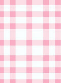 Soft Pink White Gingham Pattern Rug
