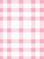 Soft Pink White Gingham Pattern Rug
