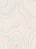 Abstract Topographic Line Art Rug