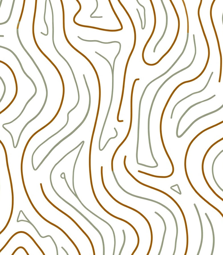 Organic Contour Lines Pattern Rug