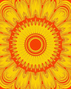 Radiant Sunburst Mandala Floral Pattern Rug