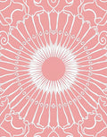 Pink Abstract Sunburst Pattern Rug