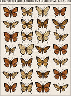 Vintage Butterfly Collection Pattern Rug