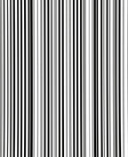 Bold Vertical Stripe Pattern Rug