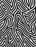 Bold Black White Wavy Pattern Rug