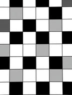 Monochromatic Checkered Grid Pattern Rug