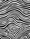 Bold Black White Animal Print Rug