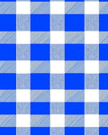 Bold Blue White Buffalo Check Print Rug