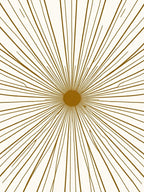 Radiating Sunburst Pattern Rug