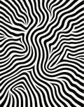 Black White Abstract Zebra Stripes Rug