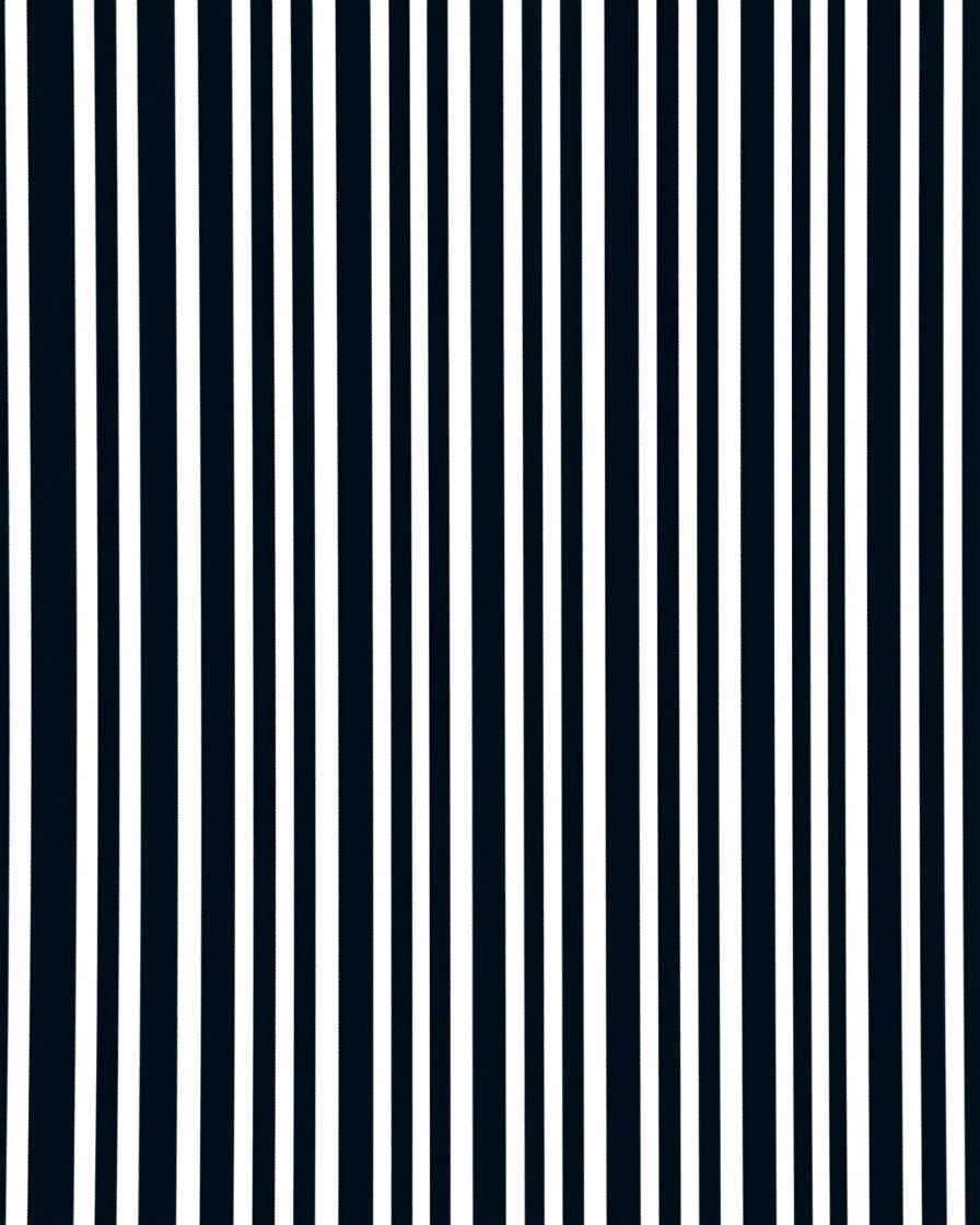 Bold Stripe Pattern with High Contrast Rug