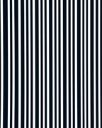 Bold Stripe Pattern with High Contrast Rug
