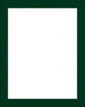 Classic Dark Green Border Design Rug