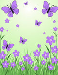 Purple Butterflies Flowers Design Rug