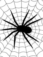 Spooky Spider Web Graphic Rug