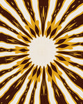 Radiating Sunlight Marigold Pattern Rug