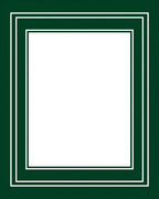 Elegant Dark Green White Border Rug