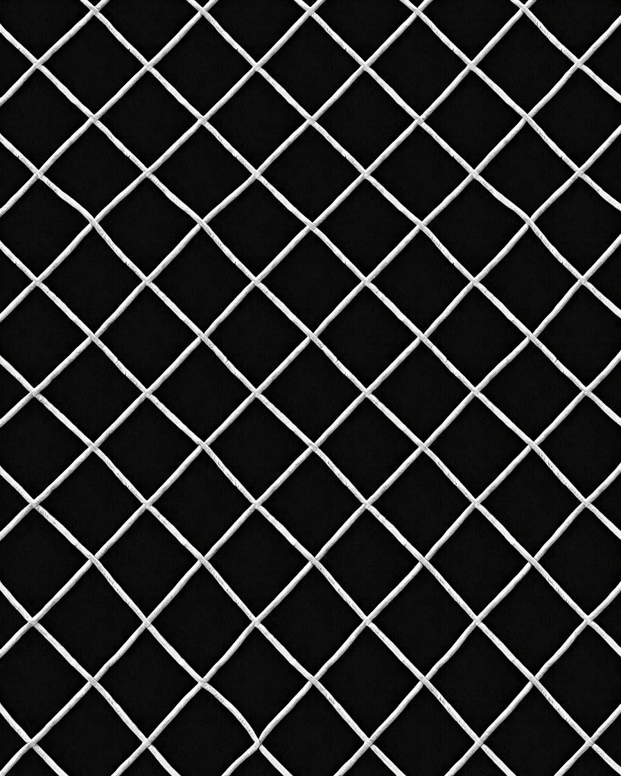 Monochrome Diamond Net Pattern Rug
