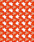 Bold Orange Red Plaid Floral Design Rug