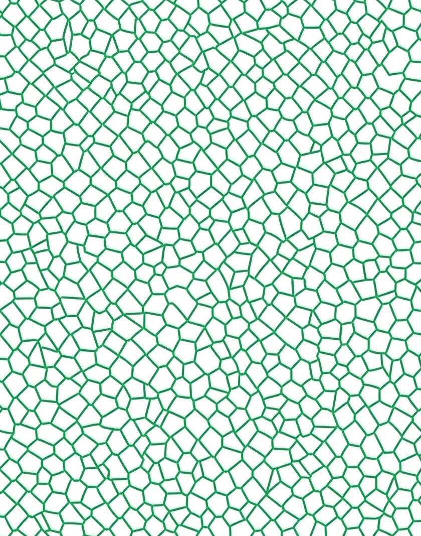 Green Irregular Geometric Web Pattern Rug
