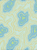 Abstract Blue Yellow Green Topography Lines Rug
